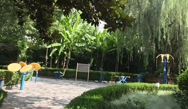 深圳要怎么样才能落户_偶遇何猷君穿两年前的增高鞋，奚梦瑶外八严重 是中设的问题国智关键库建